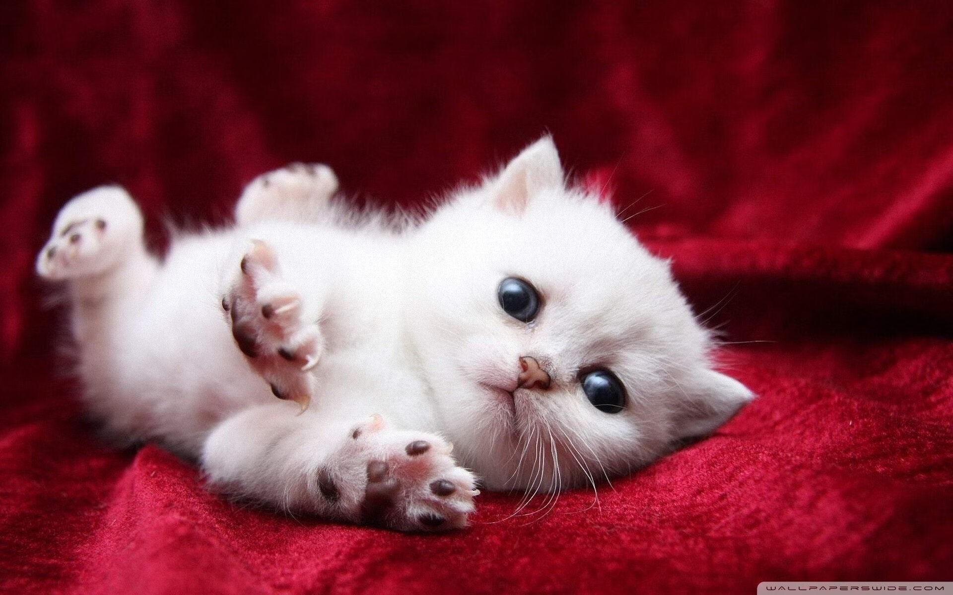 开云体育登录-奥运备战融入艺术训练增强身体协调性，运动员备战奥运会怎么训练的