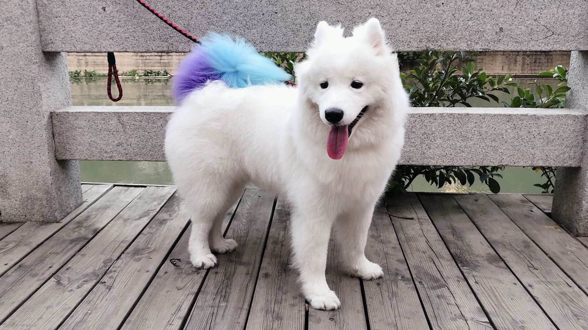 开云体育app注册-法兰克福左右调度拉扯出进攻空间，法兰克福t2