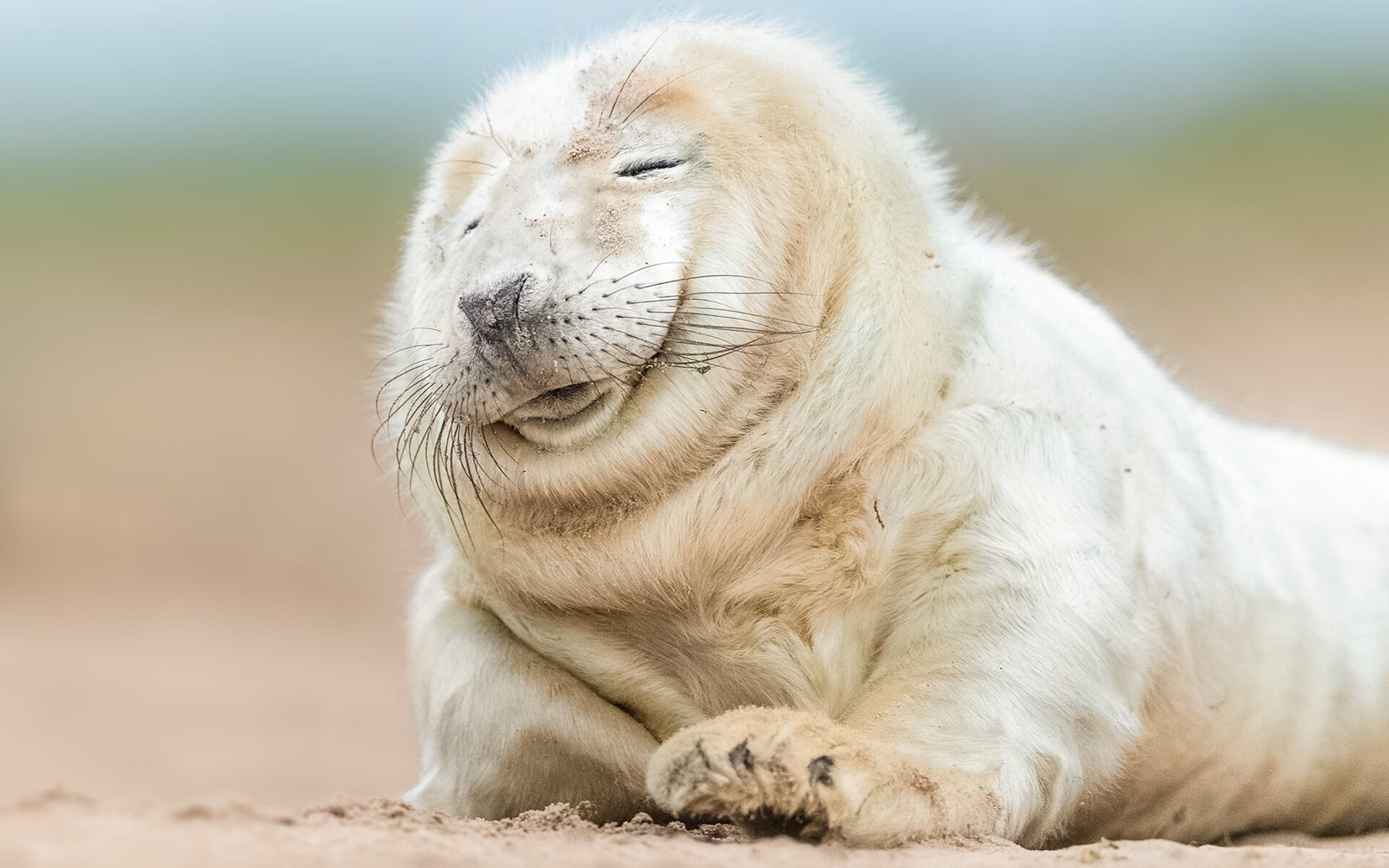 kaiyun开云体育-罗马尼亚队如何利用团体赛制在国际乒乓大赛中占得先机，罗马尼亚乒乓球怎么样