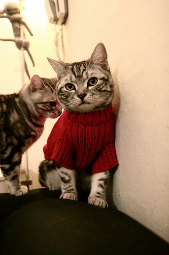 kaiyun网址-裁判操作手册加入多场景应对视频案例，裁判员的临场管理技巧