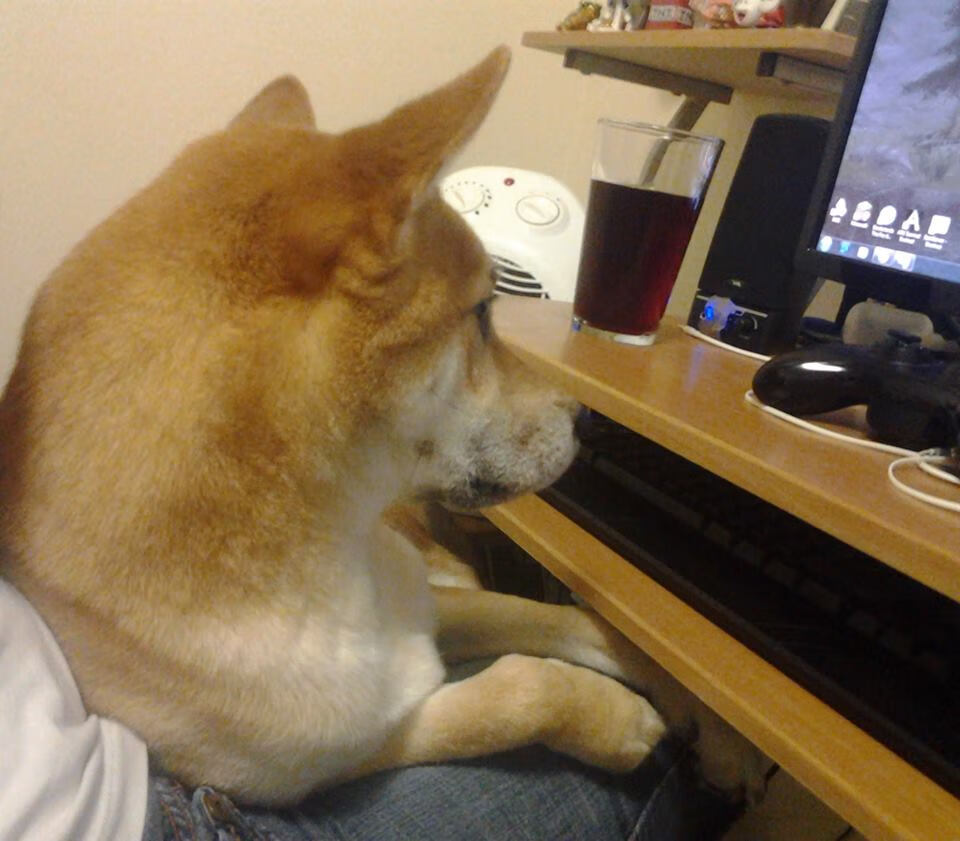 边路传中与中路直塞效率差异是否因对手防线类型决定,边路传中最好的球员