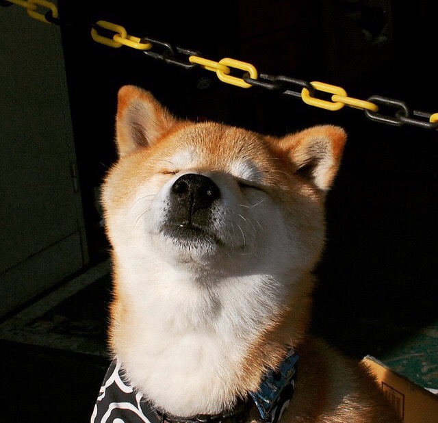 开yun官网-选手专属训练计划曝光科学安排每日节奏，职业选手训练营