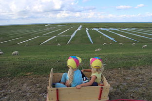 开云体育官网在线-青少年足球训练方法现代化，青少年足球技术