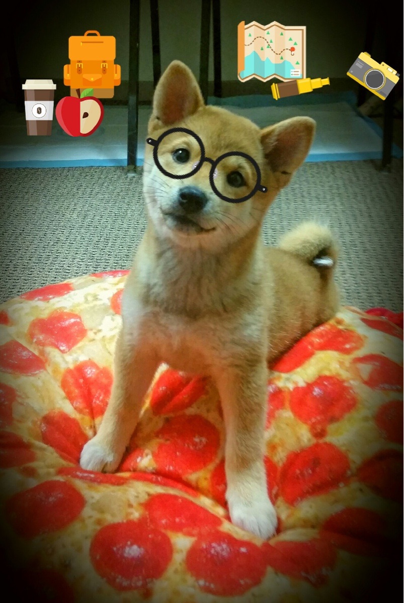 埃及球星萨拉赫荣获非洲最佳球员奖