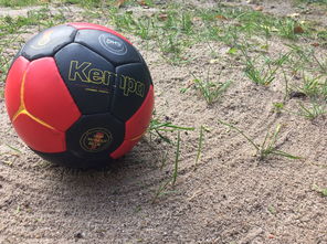 开云官方网-安提瓜和巴布达在中美洲锦标赛中夺冠，体育实力不断崛起