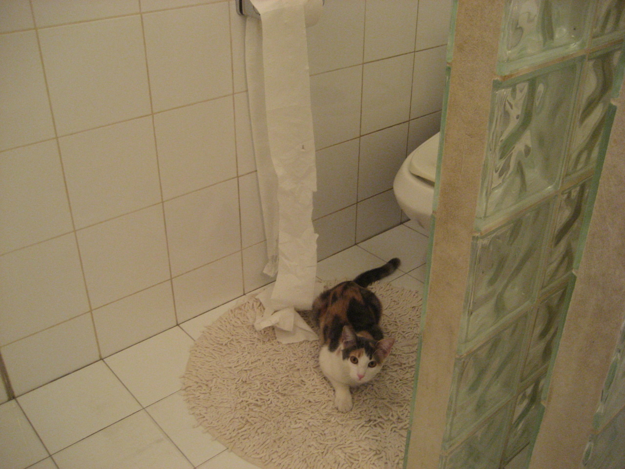 格鲁吉亚女篮在欧洲锦标赛中逐步走向世界舞台,格鲁吉亚参加过欧洲杯吗