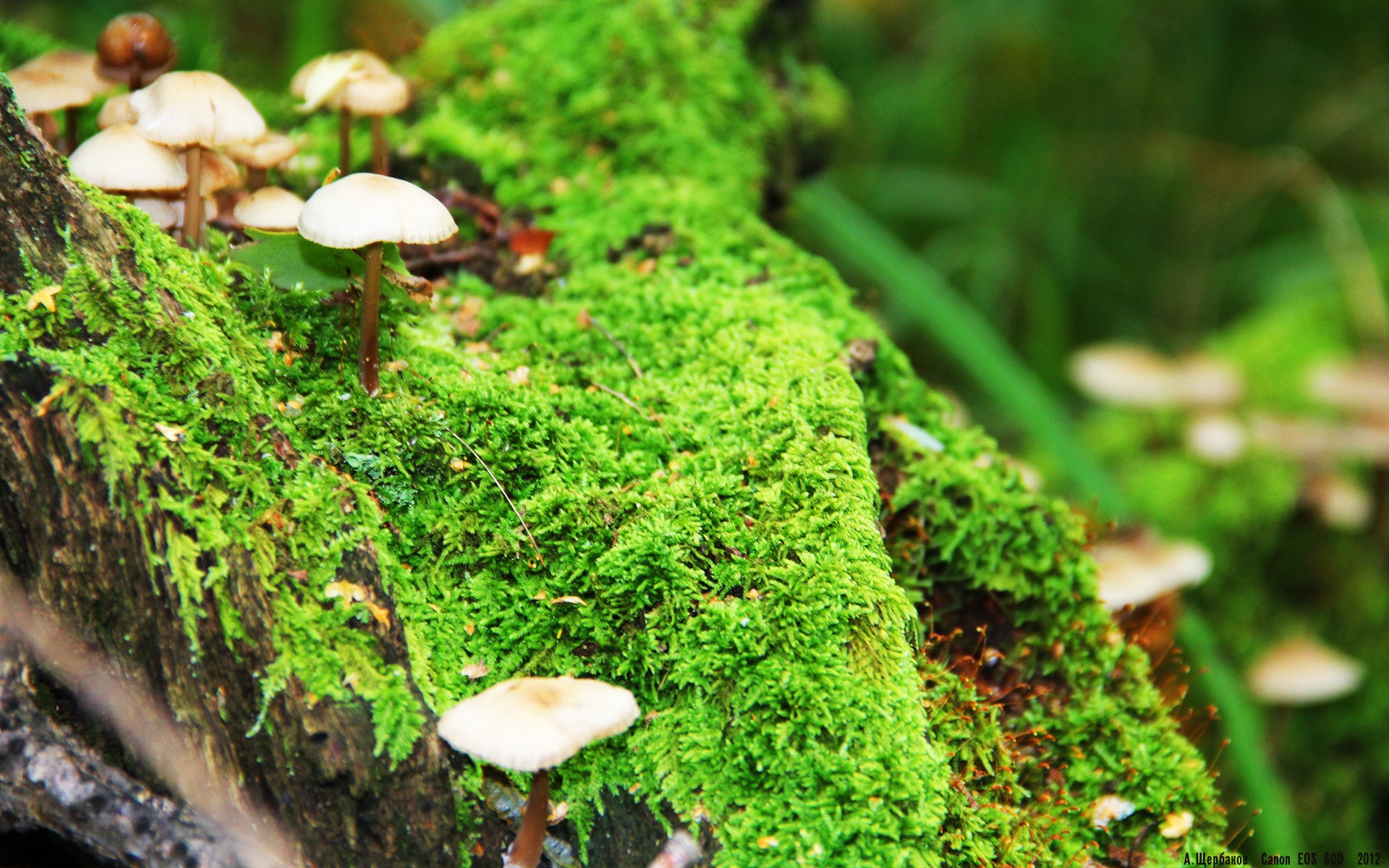 开云体育登录-科尔博稳步提升成绩，表现抢眼，科博睿尔怎么样