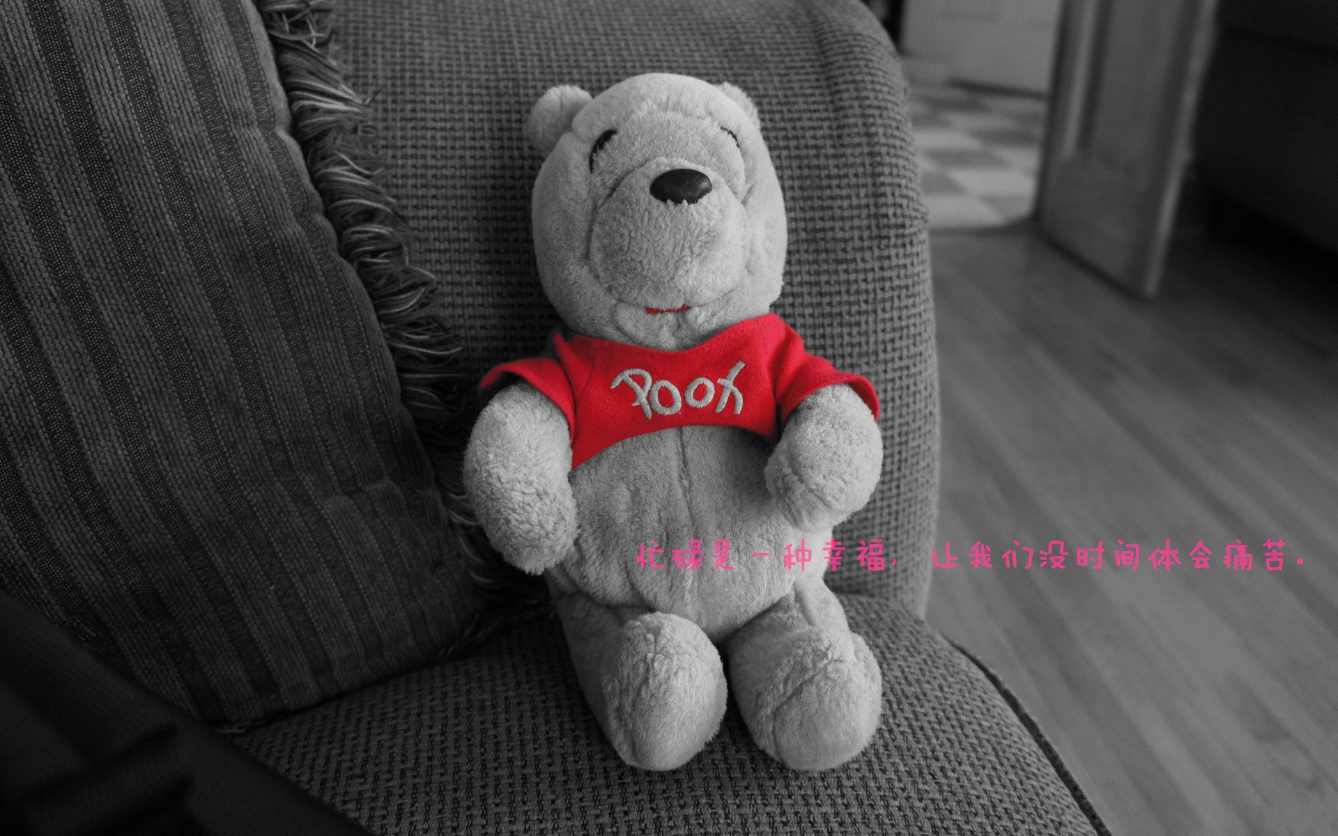 《冠军奥运篇》聚焦武桐桐：逆境中实现涅槃